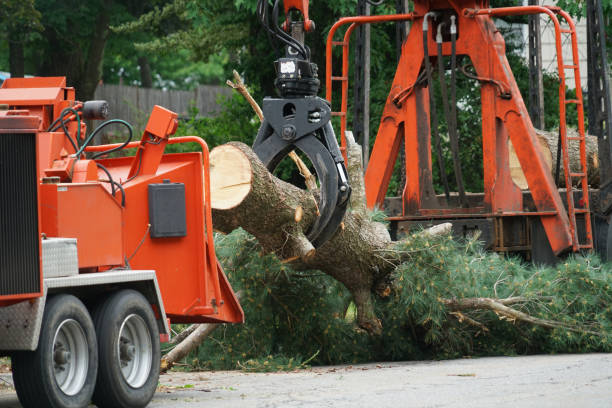 Best Tree Mulching  in Weatogue, CT